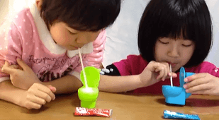 Toilet Japanese candy